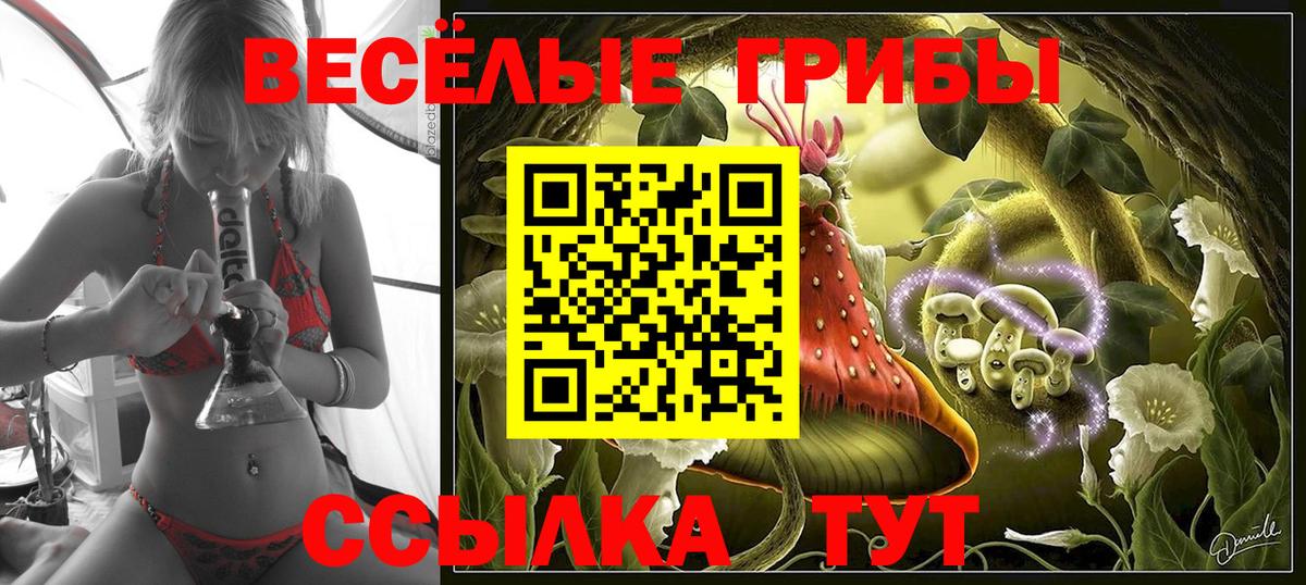 Псилоцибиновые грибы GOLDEN TEACHER  Галлюциногенные грибы Cubensis  Новочебоксарск  цены   Вход с VPN 